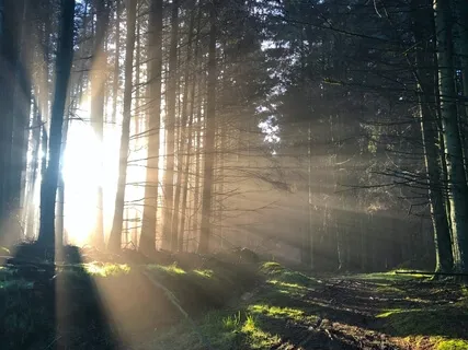 Embody Your Next-Level Self