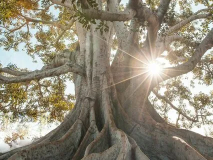 Embody Your Wholeness