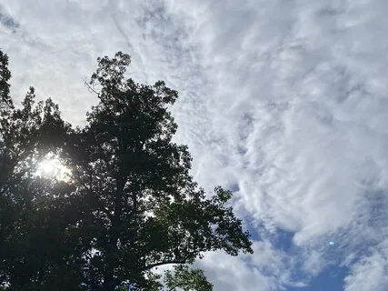 Embodying Acceptance Of Difficulty