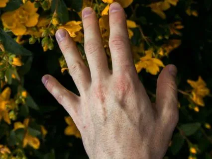 Embodying — Coming Home To The Present