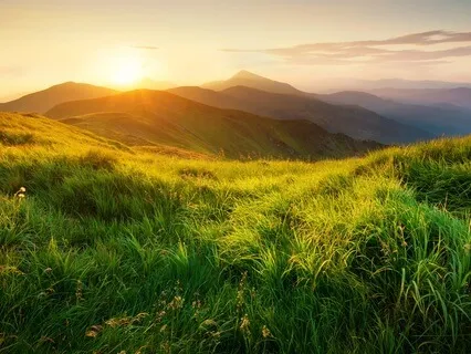 Embodying Gratitude: A Heart-Centered Meditation