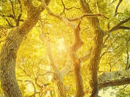 Embodying Patience To Soothe Your Nervous System