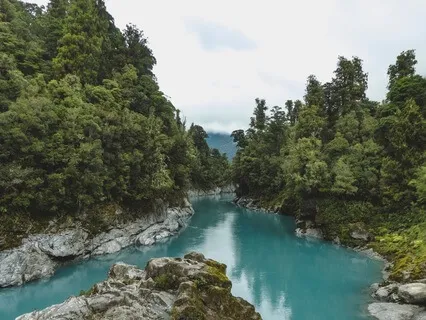 Embodying The Beginner's Mind Meditation