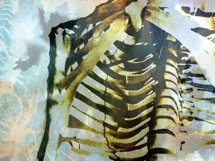 Embodying The Bones Of Breath