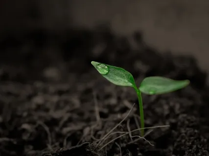 Embodying The Practice Of Grief With Sara Chizek