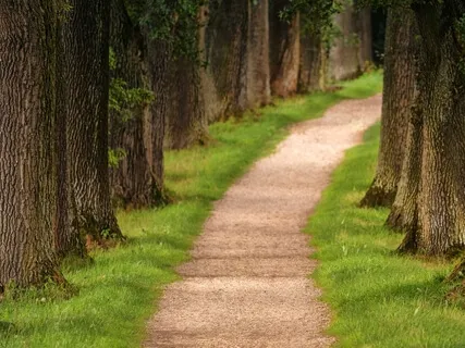 Embodying The Sovereign: Journey To The Throne