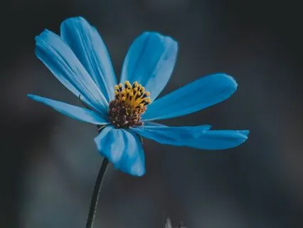 Embodying The Words You Preach