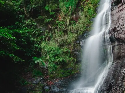 Embodying Whole Health