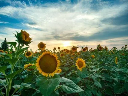 Embodying Your Journey