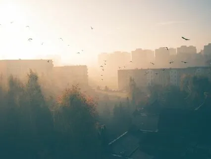 Embrace #2 | Wake Up Gently With Bird Song + Ambient Music