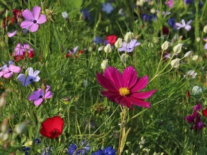 Embrace Accept And Navigate Change