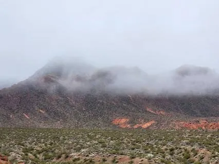 Embrace All Parts Of You!