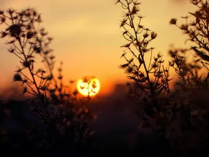 Embrace Beauty And Grace | Morning Ritual