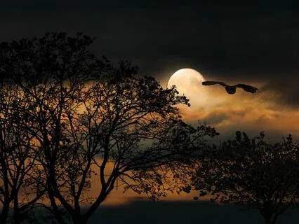 Embrace Deep Rest With 174 Hz