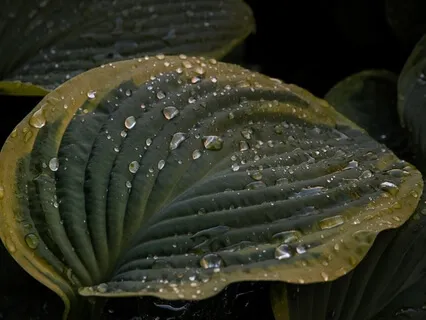 Embrace our Beautiful Nature