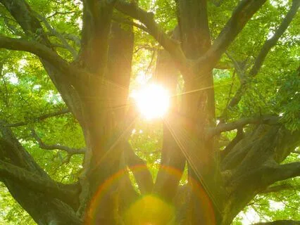 Embrace Self-Love With “I Am” Affirmations