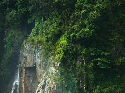 Embrace Serenity: Relaxation and Embodiment Journey