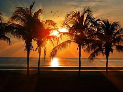 Embrace The Calm - Delta Waves