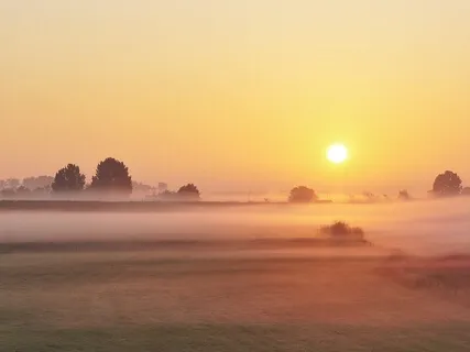 Embrace The Day... Be Inspired To Wake Up Early