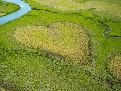 Embrace The Earth's Frequency