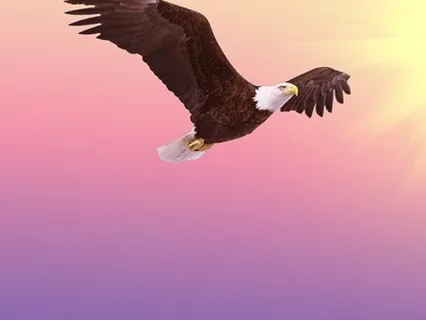 Embrace the Energy of the Eagle