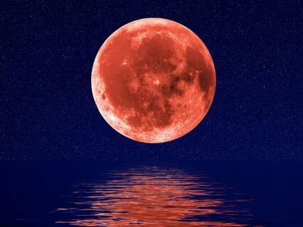 Embrace The Full Moon A Journey To Your Inner Sanctuary