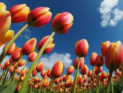 Embrace The Glow: A Morning Meditation