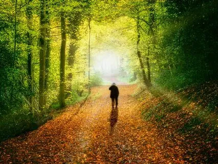 Heal Yourself - You Are The Healer