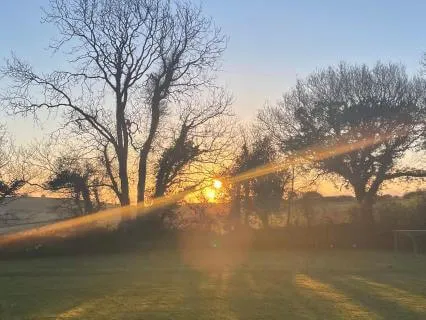 Embrace The Light, Growth & Renewal