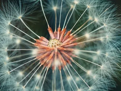 Embrace The Light Within