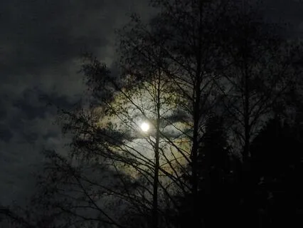 Embrace the Night With 432 Hz