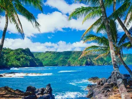 Embrace The Now With 432 Hz + 111 Hz Tuning Forks