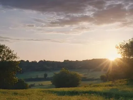 Embrace The Sun's Energy