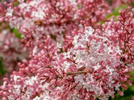 Embrace The Tranquility That Resides Within