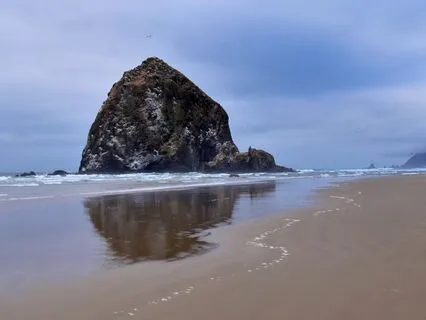 Wisdom of Shaltazar Oracle Card #2 - Embrace The Unknown