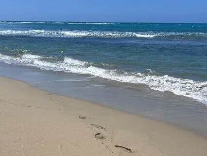 Embrace The Waves Of Tranquility