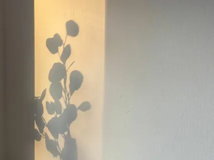 Embrace The Week Ahead