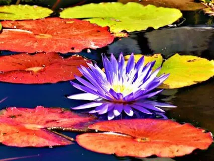 Embrace The Wisdom In Uncomfortable Emotions