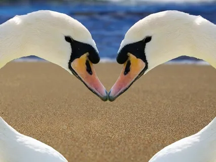 Embrace the World Talk + Meditation