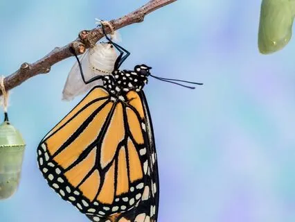 Embrace And Transcend: Balancing Light And Dark