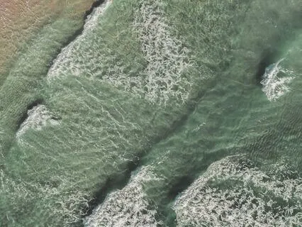 Embrace Universal Abundance