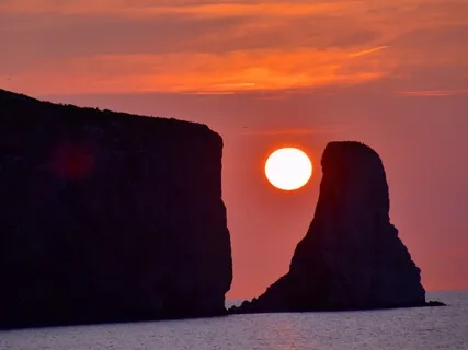 Embrace What You Feel