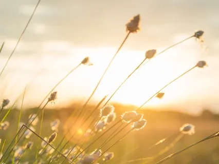 Embrace Your Authenticity