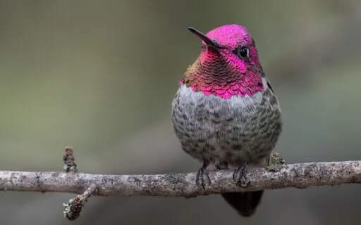 Embrace Your Body: A Journey For Soul Embodiment