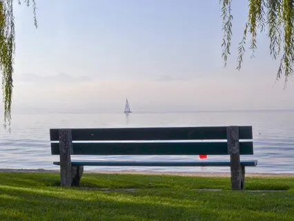 Embrace Your Evolution