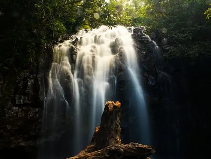 Unlock Authentic Growth By Embracing Your Inner Rascal