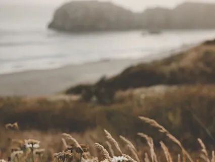 Embrace  Your Inner Sanctuary, A Self Comfort Meditation