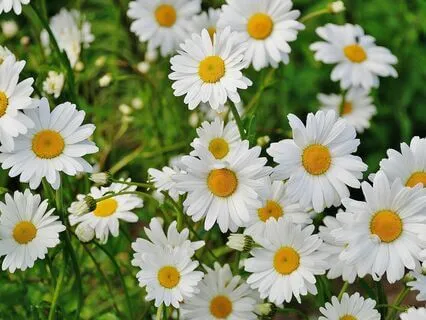 Embrace Your Magical Self