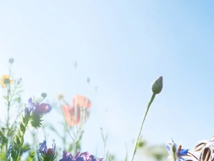 Embrace Your Perfect Imperfections