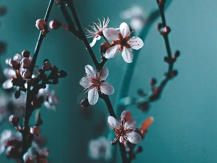 Embrace Your Singleness